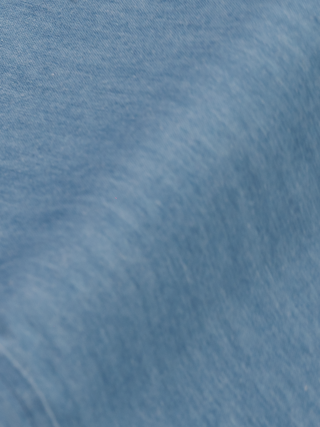 Light Wash | Double Stack Button | Western Denim