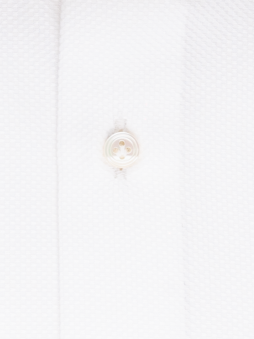 Canclini Piave White Texture
