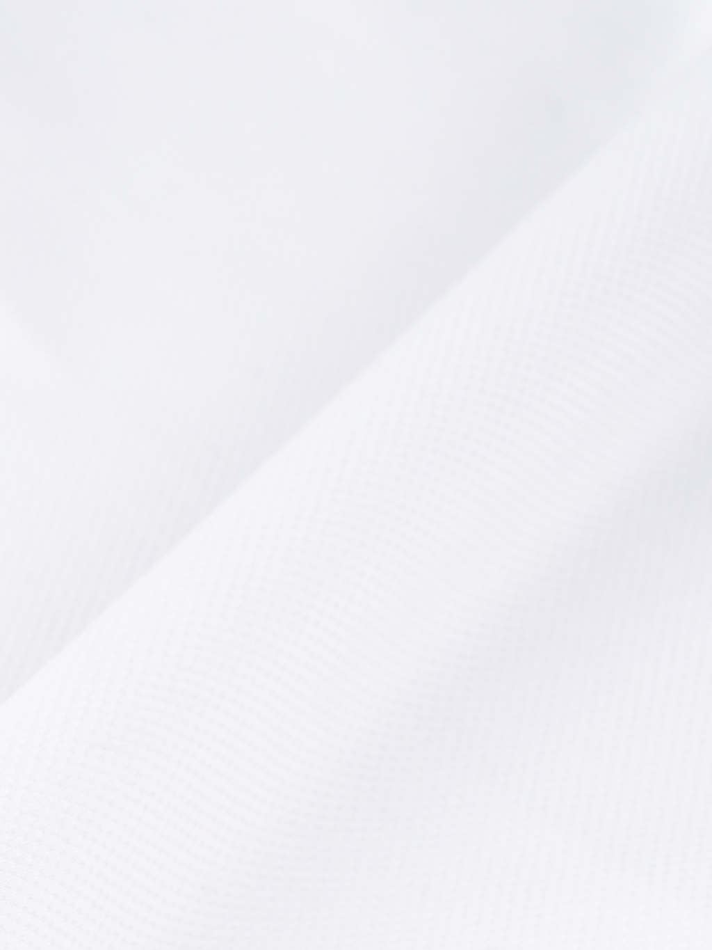 Canclini Piave White Texture