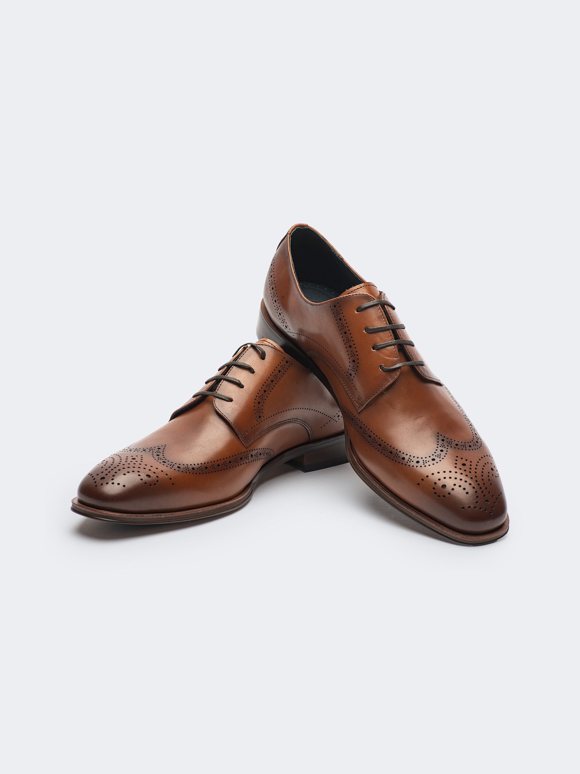 Brown - Wingtip Shoe