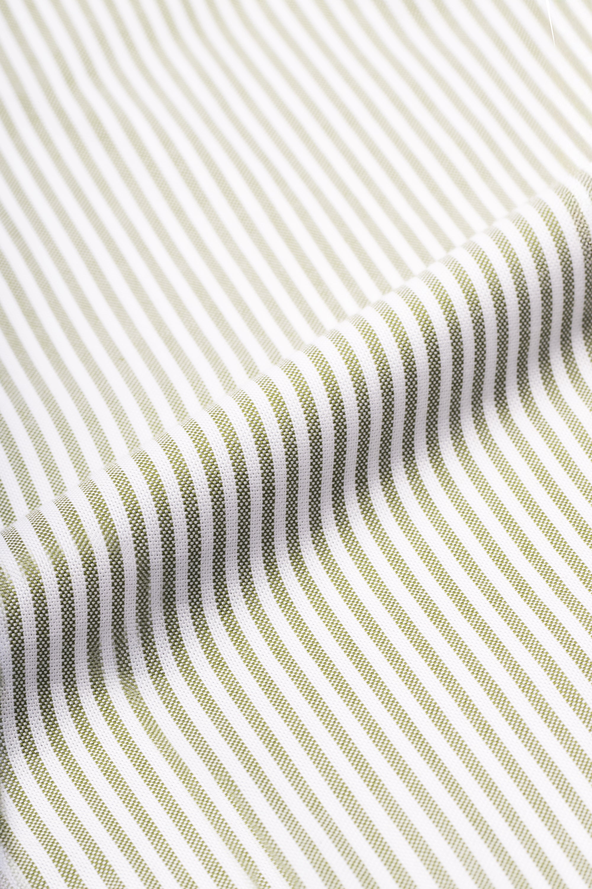 Olive Stripe Oxford | Button Down