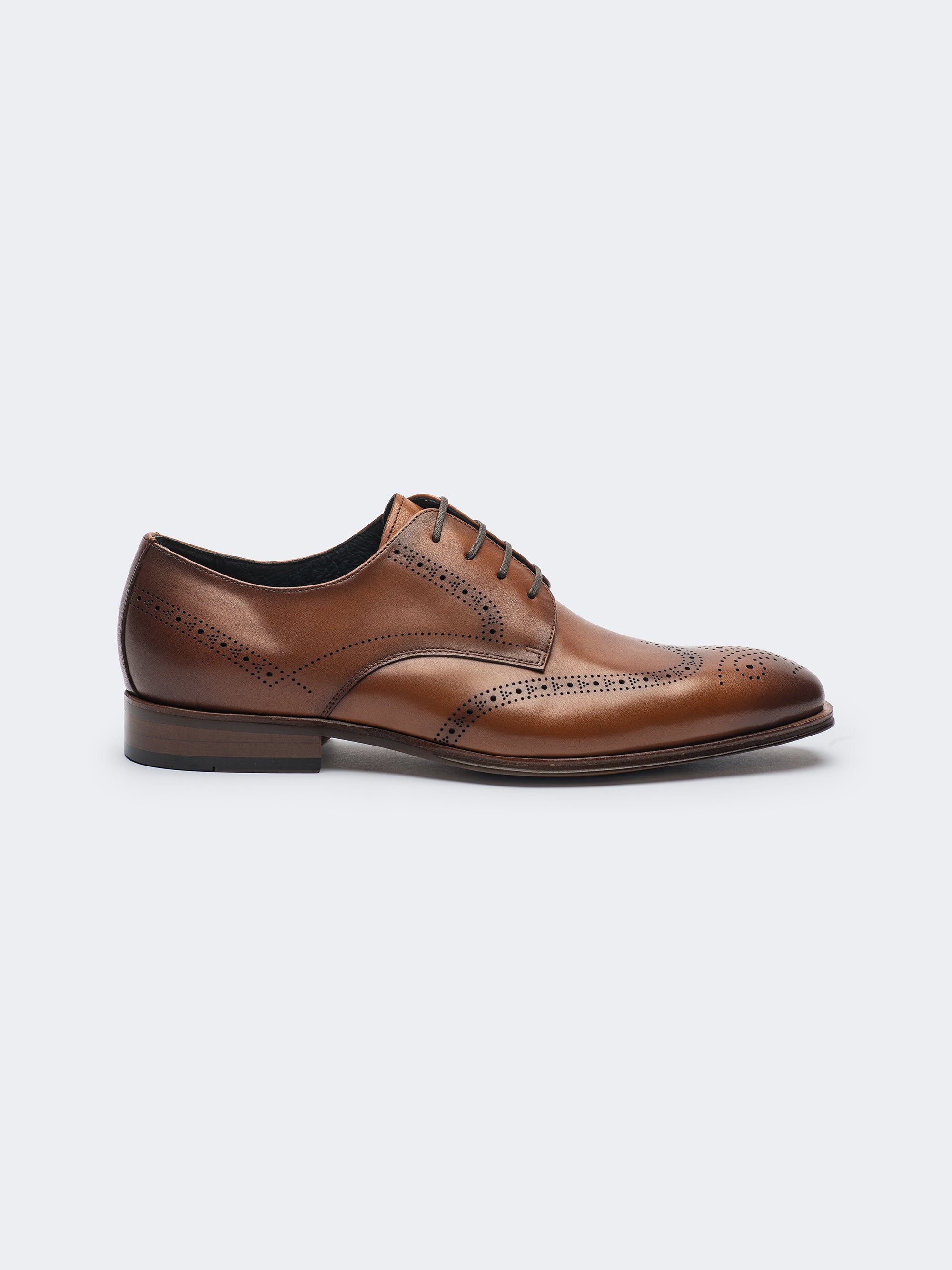 Brown - Wingtip Shoe