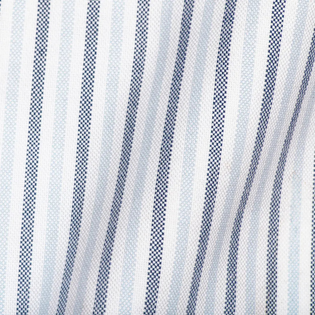 Blue Multi Stripe Oxford - Larimars Clothing Men's Formal and casual wear shirts